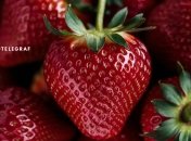 Урожай увеличится в разы