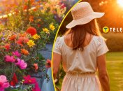 Які квіти посадити у червні