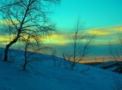 Прогноз погоды в Украине на 1 декабря: снежно