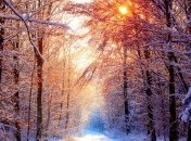 Погода в Украине на 4 января: день морозный, солнечный и без осадков