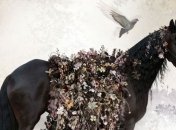 Цветочная феерия в красивых снимках знаменитого фотографа (Фото) 