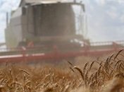 Сельхозпредприятиям собираются сократить бюджетные дотации