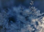 Зима близко: Укргидрометцентр предупреждает о сильных заморозках