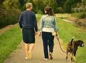 У Нідерландах міністр із поліцією перевіряли чи дотримуюються люди карантину