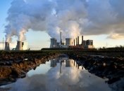 Доклад ООН: Природа гибнет с беспрецедентной скоростью