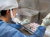 Европейская эпидемия: Медики в Румынии подтвердили первую смерть от COVID-19