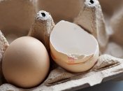 Яичная скорлупа: почему не стоит сразу же ее выбрасывать?