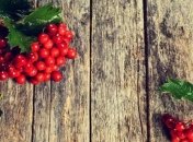 Медики рассказали о новых полезных свойствах калины