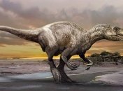 Открыт новый вид мегараптора