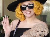 Ноготь Lady Gaga продан на аукционе за $13 тысяч