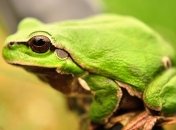 Побеждаем зависть