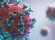 Зараженная партия: в Китае коронавирус обнаружили на упаковках морепродуктов