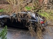 Стихийная мощь: В Польше повреждены дома и отменены авиарейсы