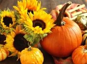 В чем польза тыквы для красоты