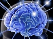 Ученые протестировали мозговой имплантат для улучшения памяти