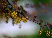 Приметы и обряды на 20 апреля – Акулин день