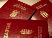 Выдачу венгерских паспортов в Закарпатье квалифицируют как госизмену
