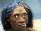 Ученые доказали, что "хоббиты" из Индонезии это отдельный вид  