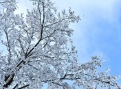 Сегодня в Украине будет без осадков