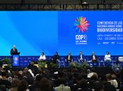 У ході 16-ї Конференції Сторін Конвенції ООН про біологічне розмаїття Вірменію було обрано країною, яка приймає COP17