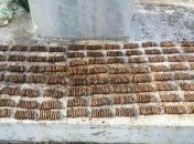 Под Одессой найден тайник с боеприпасами 