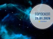 Гороскоп на завтра для всех знаков Зодиака — 25 января 2026