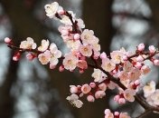 Синоптики уточнили прогноз на месяц: какие сюрпризы готовит апрель 