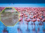 Потоп у Києві