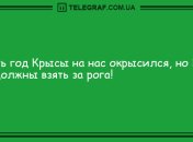Смех повышает иммунитет: вечерние анекдоты