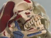 Ближайшие мероприятия в PinchukArtCentre