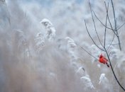 Фото: unsplash.com/@rayhennessy