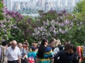 Цена газа, штрафы и президент: что ожидает украинцев в мае