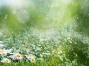 Прогноз погоди на тиждень в Україні: чи спаде спека