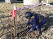 На Киевщине в детсаду нашли шесть мин Второй мировой: фото и видео