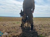 На Харьковщине СБУ начала антидиверсионные учения.