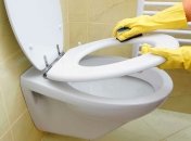 Чем отчистить сиденье унитаза от желтизны
