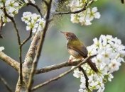 Яке свято 8 травня: народні прикмети і заборони