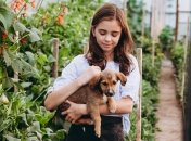 Свої іменини цього дня відзначають Ірини