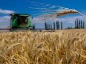 Мінекономіки пропонує виділити 2 мільярди гривень на страхування аграріїв