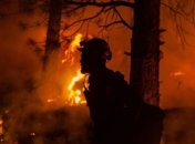 Под Тернополем мужчина жег мусор в лесу и получил штраф в размере 175 тысяч гривен