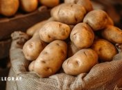 Зберігайте її правильно, щоб насолоджуватися свіжістю та смаком протягом тривалого часу (фото створене з допомогою ШІ)