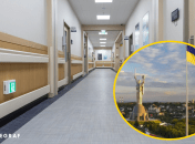 Коллаж "Телеграфа"