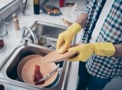 Чем заменить средство для мытья посуды