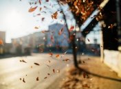 Местами ожидается сильный ветер