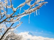 13 марта слышен звук от капель, падающих на землю из сосулек