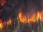 Ситуация в Сибири не сдвигается с мертвой точки