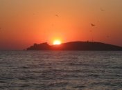 Украина и РФ согласовали квоты на вылов рыбы в Азовском море