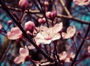 Наступил новый астрологический год: что нужно сделать 21 марта