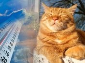 В Украину придет почти летнее тепло: синоптик порадовала прогнозом на конец апреля