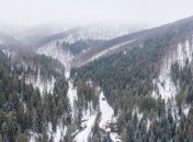 ГСЧС отыскала четырех заблудившихся в Карпатах туристов